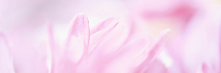 8B789021-467B-45D4-989C-63776C18553D