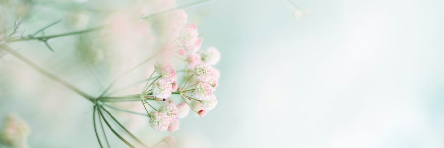 AF30A5D2-450C-424B-A86D-FB008BABB405 (1)