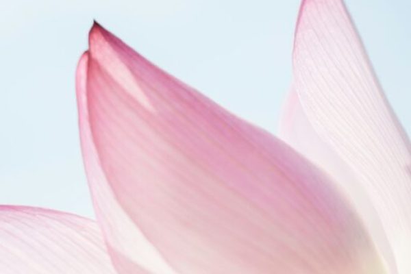 55945AFD-97C1-46FB-A9CD-90F36574B84A